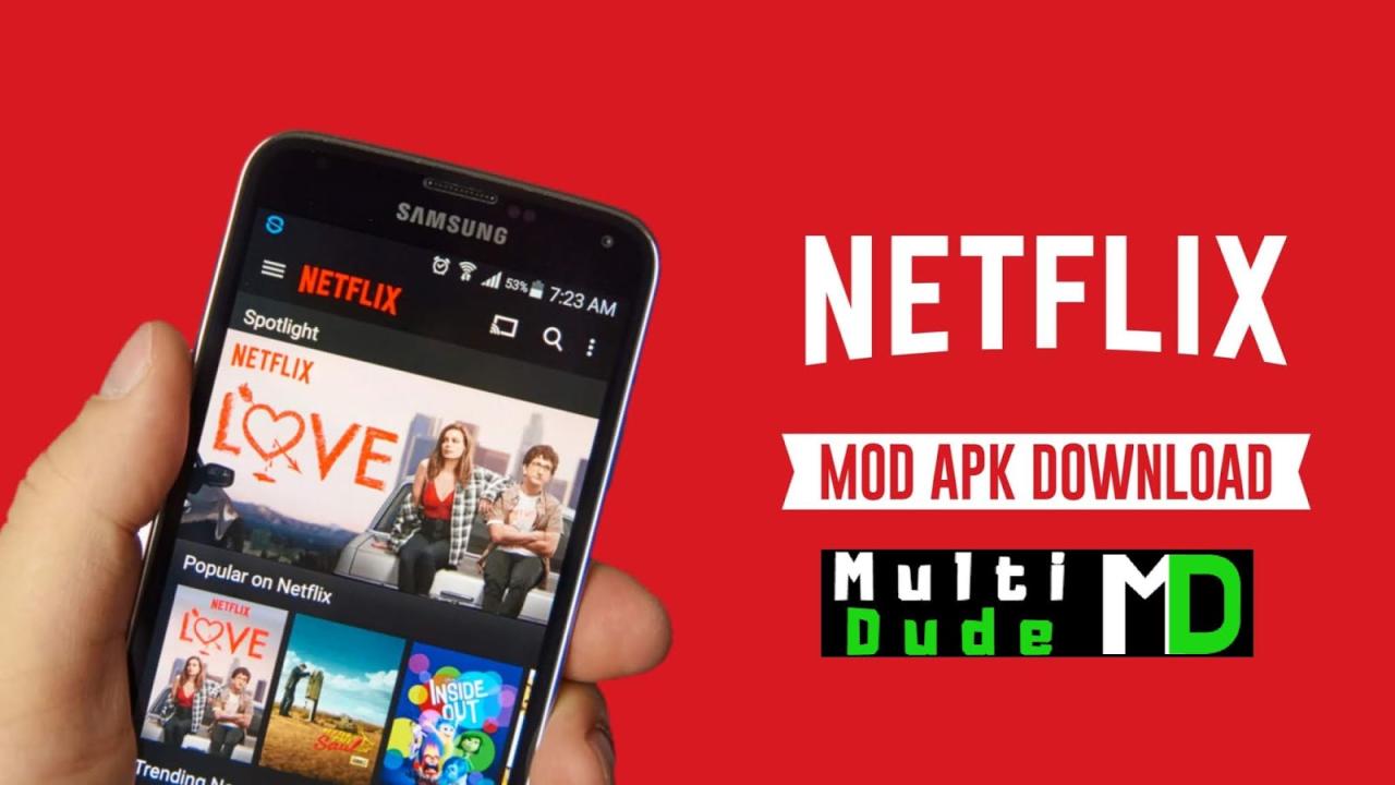 Netflix MOD .apk