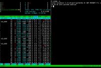 termux-app v0.118.0 github-debug arm64-v8a.apk