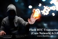 Flash BTC Transaction  Core Network  Full Version 10.0.1 SOFTWARE.txt