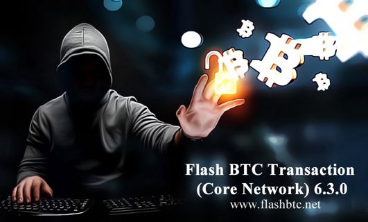 Flash BTC Transaction  Core Network  Full Version 10.0.1 SOFTWARE.txt