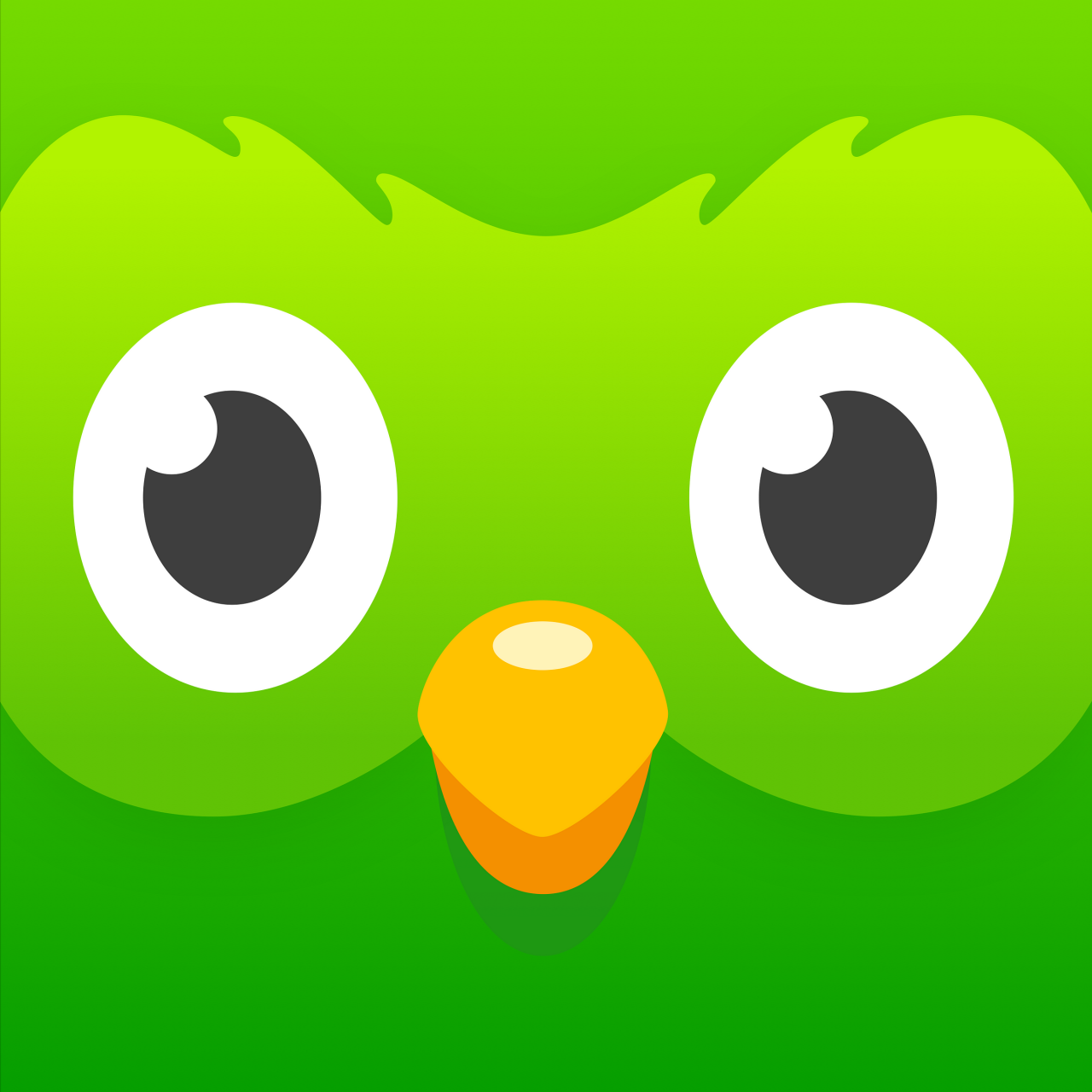 Duolingo 5.154.2.apk