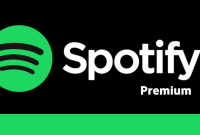 Mod16 Spotify v8.9.46.426  Premium  Clone.apk