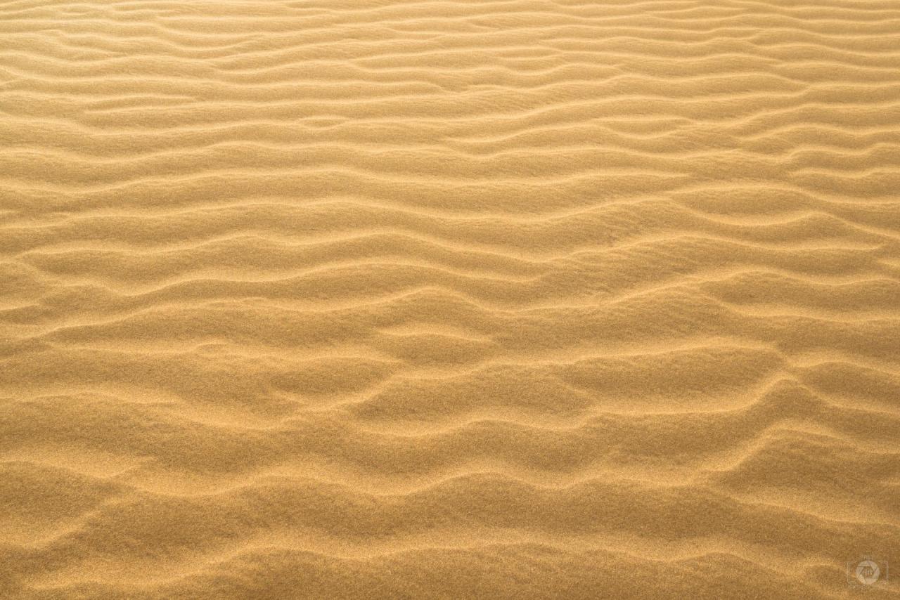 sand Sheets  Unedited Version  - Ollyjayzee .pdf