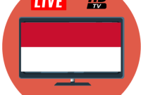 TV Online Indonesia 3.7  3 .apk