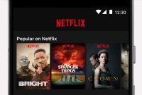 NEW.pandir.Netflix v8.119.0.apk