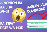 YOWA10.10F FouadMODS.apk