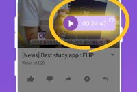 Flip.apk