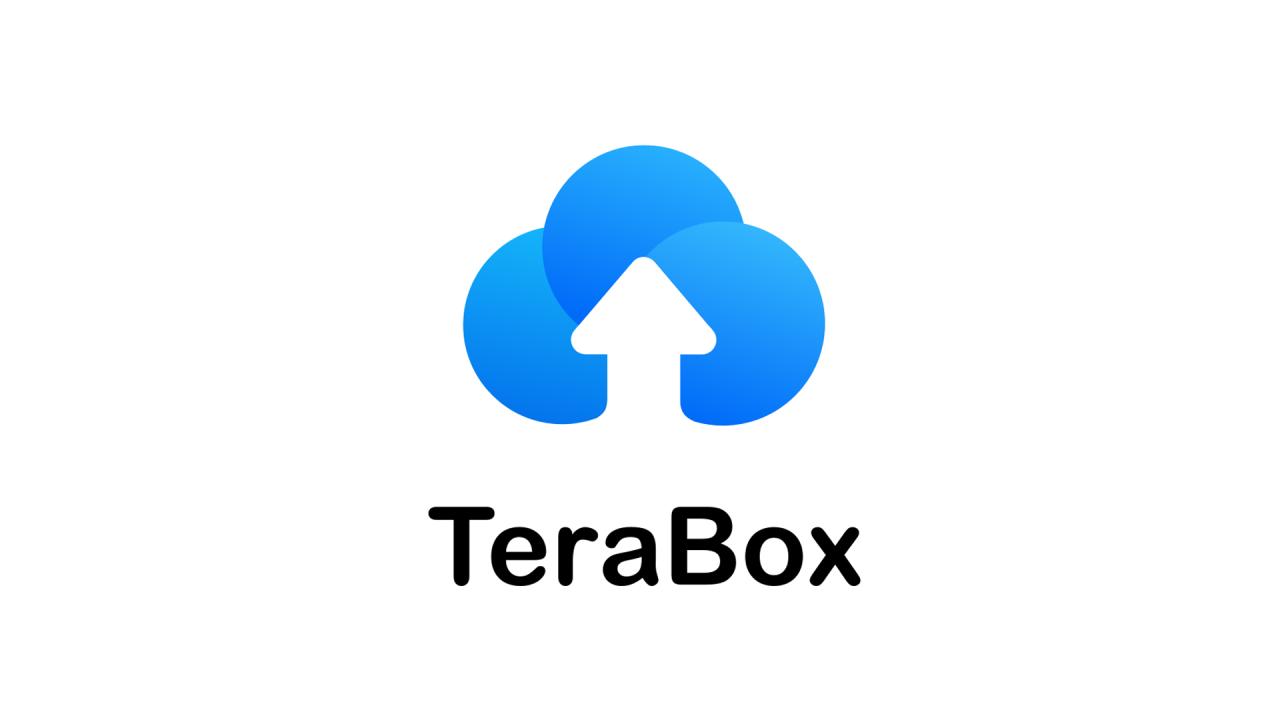 Terabox pro.3.24.0.apk