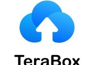 TeraBox v3.31.1 modded by Nanoding.apk