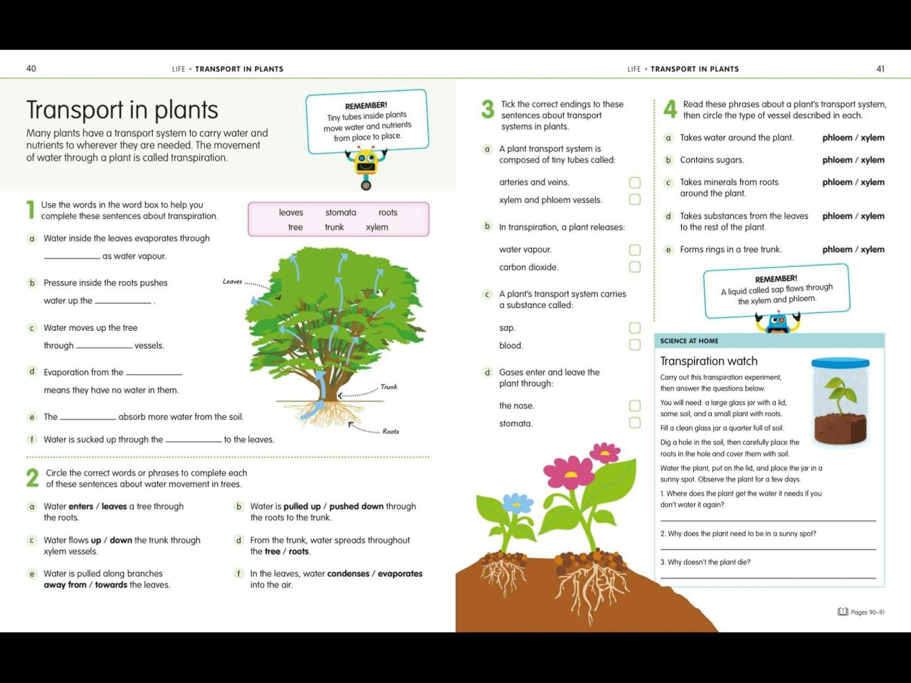 How to Be Good at Science  Technology  and Engineering  DK   Z-Library .pdf