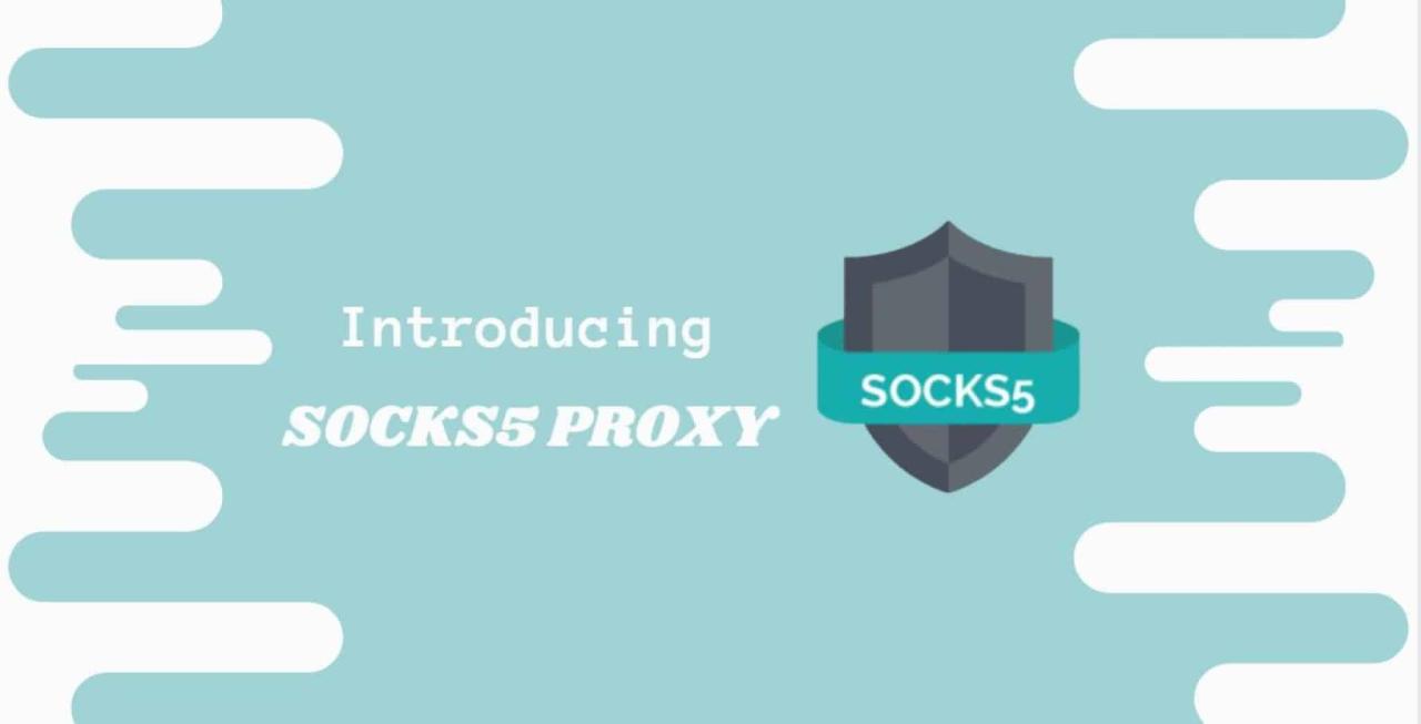 proxy socks5 PREMIUM.txt