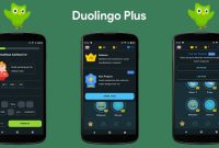 DuoleDomino.apk