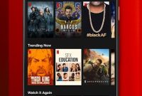 Netflix v8.104.0 MOD .apk