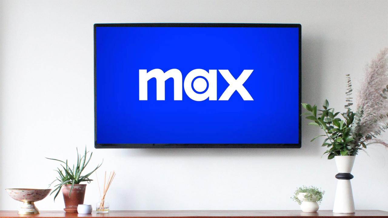 TV.max.app3145817.apk