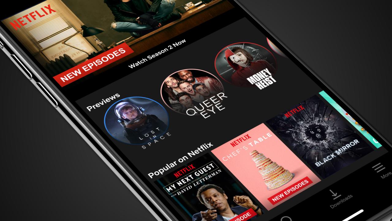 netflix mobile suport v1 dan 2.apk