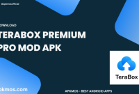 TeraBox-v3.31.2-mod.apk