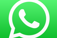 WhatsApp Messenger 2.24.14.11 APKPure.apk