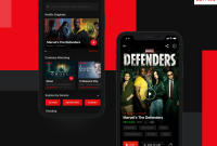 Netflix Premium  Permanent MOD .apk