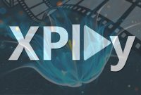 xPLAY ANDROIDTV2  .apk