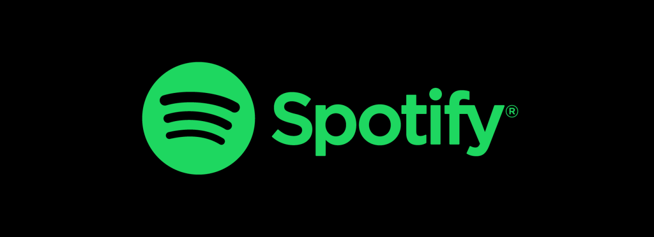 Spotify v8.9.56.618 MOOD 16.com.apk