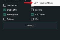 UDP TWEAK SETTING WUSS .pdf