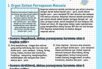 CATATAN IPA PENGUKURAN .pdf