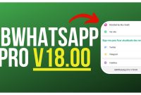 GBWhatsApp-APK-v18.00-ModFYP.apk