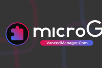 microG Service v0.3.1.4.240913.apk