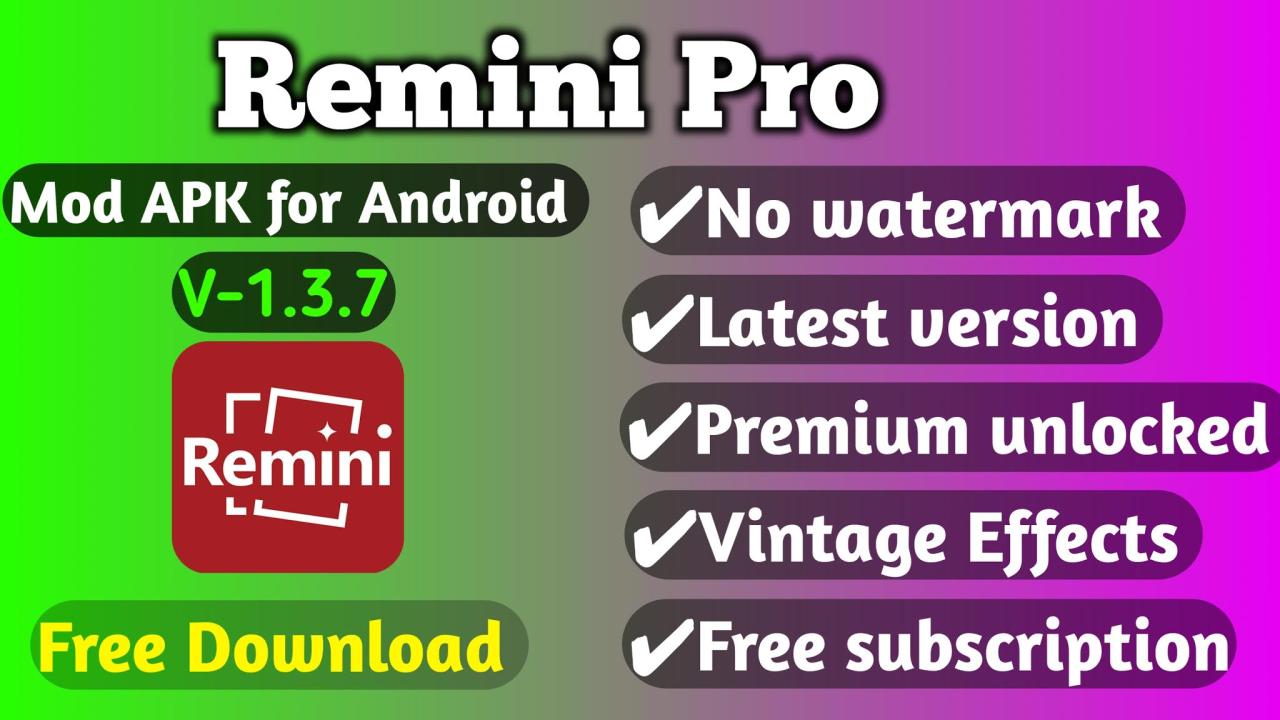 remini MOD pro.apk