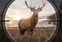 Hunting Sniper Mod APK 2.05.0101 Download Latest Version Now For Android 2024.apk