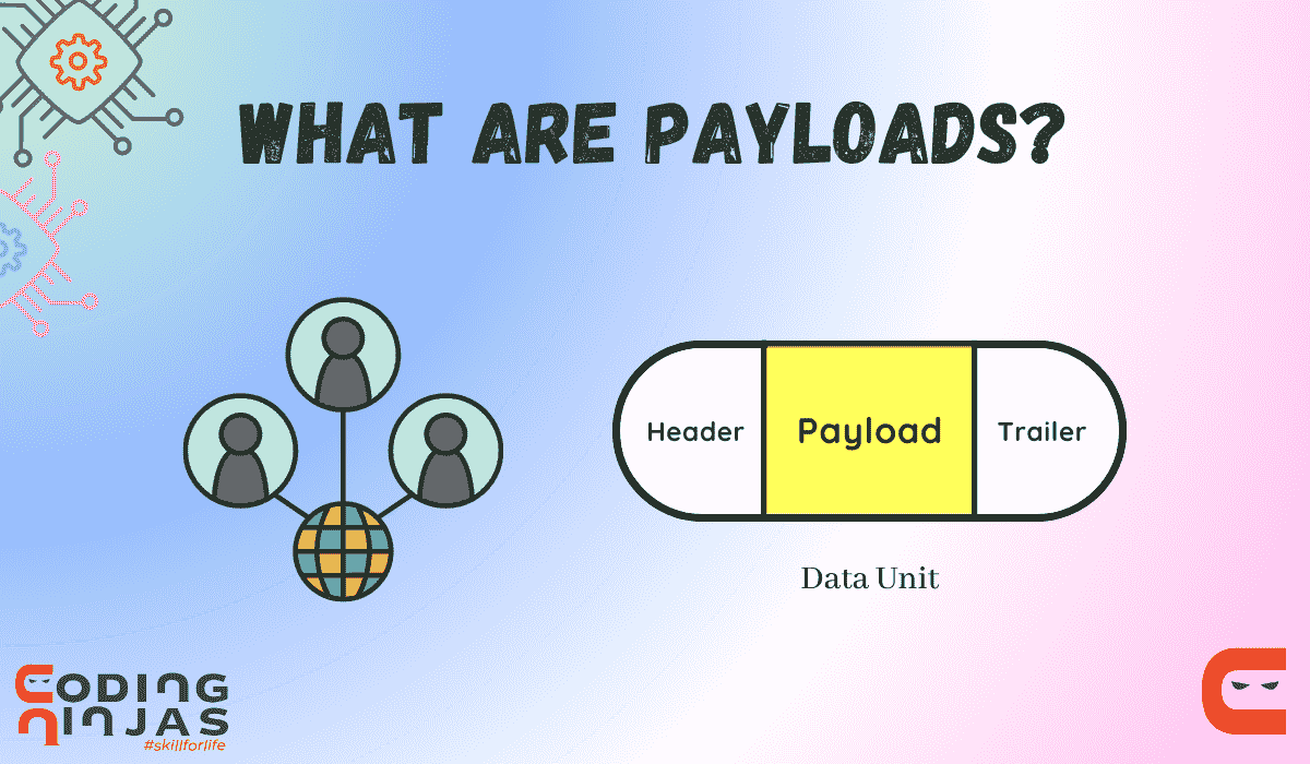 payload WS.txt