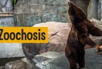 Zoochosis APK 1.0 Download Latest Version For Android.apk