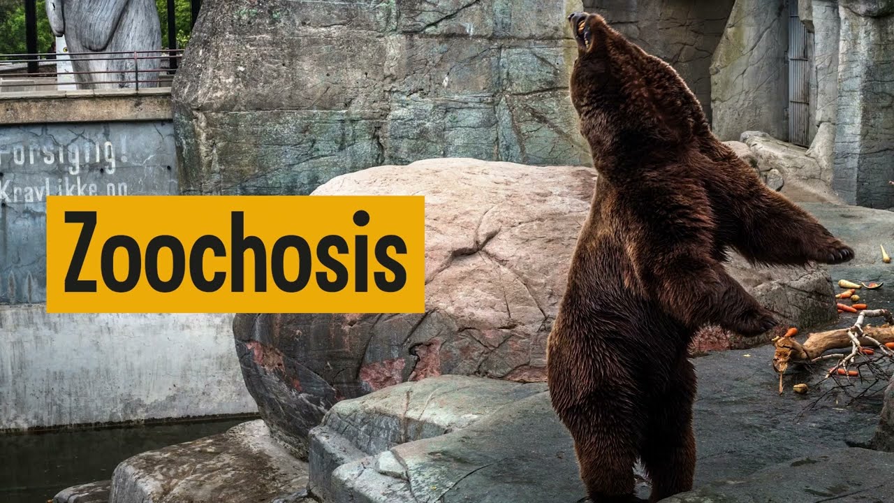 Zoochosis APK 1.0 Download Latest Version For Android.apk