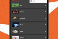 Linggau TV .apk