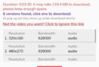 Lj Video Downloader.apk