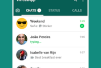 whatsapp-messenger-2-24-22-73.apk