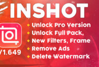 InShot v1.991.1428 mod.apk