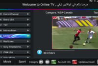 TV Online IndonesiaV2 3.8  3 .apk