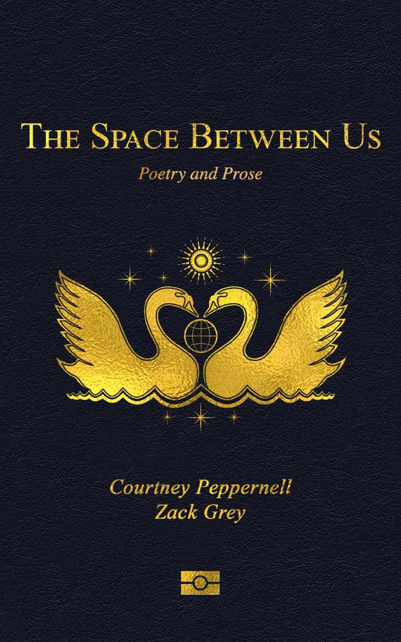 PDF BOOK The Space Between Us A Novel.pptx