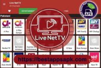 Big Tetek LiveTV Indo v1.7.5.apk