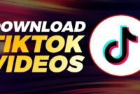 SnapTick Download Video TikTok 1.3.9 Pro ML.apk