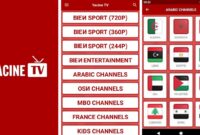 Yacine TV Nov2024.apk