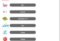 BIT TV 1.4.3 apkcombo.com.apk