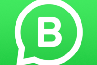 WhatsApp businnes.apk