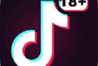 TikTok 18 v1.3.7.apk