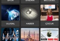 Inat TV APK 15.8 Android i  in   cretsiz   ndir 2024.apk