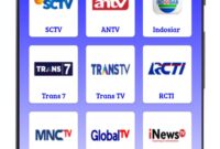 SALURAN TV DIGITAL  .apk