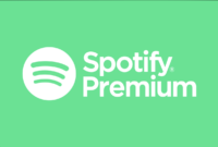 Spotify Premium v8.9.90.127  by - It s me EagleBoy .apk