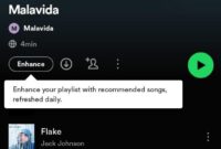 SPOTIFY X.apk