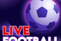 livesportshdtv-5.0.34.apk